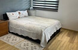 Casă Spațioasă + Spații Comerciale | Hănțești, Jud. Suceava