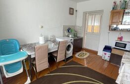 Casă Spațioasă cu Iaz Privat și 2.500 mp teren - în Fălticeni