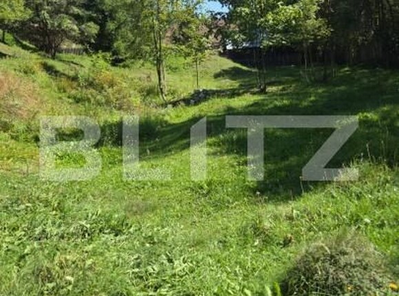 Teren de vânzare Periferie - 203586TV | BLITZ Suceava | Poza1
