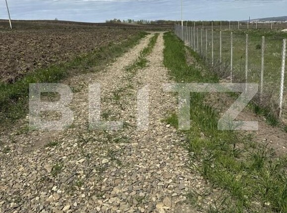 Teren de vânzare Bosanci - 203812TV | BLITZ Suceava | Poza3