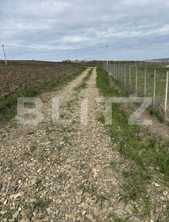 Teren de vânzare Bosanci - 203812TV | BLITZ Suceava | Poza3