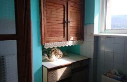 Apartament 2 camere, 48 mp, zona Gura Humorului