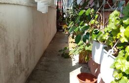 Apartament cu 3 camere, 55 mp, zona Policlinica