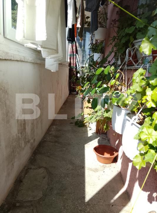 Apartament de vânzare 3 camere Policlinica - 203957AV | BLITZ Suceava | Poza5