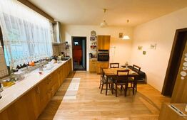Casa de vanzare, 157 mp, teren 1427 mp, zona Burdujeni