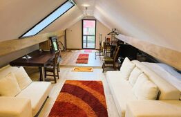 Casa de vanzare, 157 mp, teren 1427 mp, zona Burdujeni