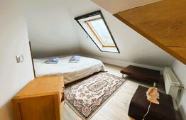 Casa de vanzare, 157 mp, teren 1427 mp, zona Burdujeni