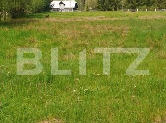 Teren de vânzare Vatra Dornei - 204086TV | BLITZ Suceava | Poza2