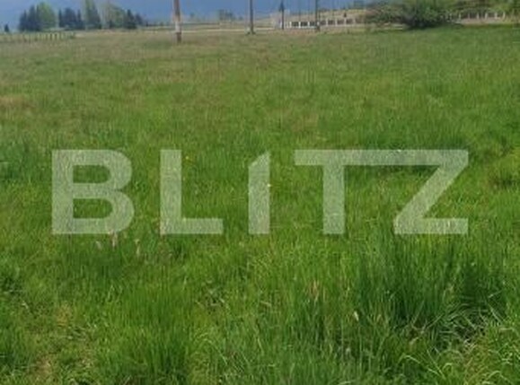 Teren de vânzare Vatra Dornei - 204086TV | BLITZ Suceava | Poza3