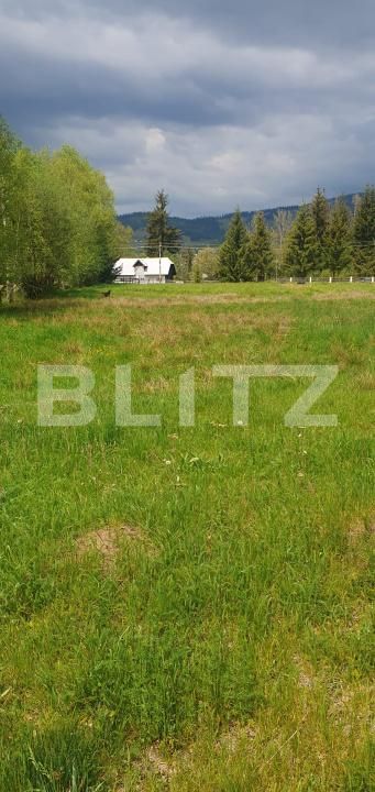 Teren de vânzare Vatra Dornei - 204086TV | BLITZ Suceava | Poza2