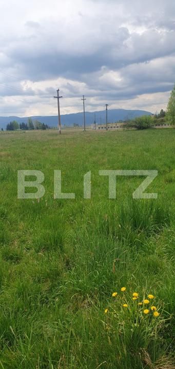 Teren de vânzare Vatra Dornei - 204086TV | BLITZ Suceava | Poza3