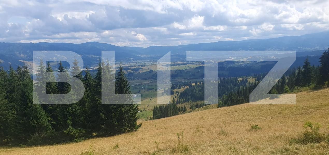 Teren de vânzare Vatra Dornei - 204097TV | BLITZ Suceava | Poza8