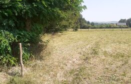 Teren 26 ari, extravilan, langa padure, zona Partestii de Jos