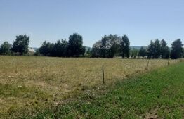 Teren 26 ari, extravilan, langa padure, zona Partestii de Jos