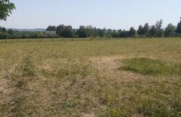 Teren 26 ari, extravilan, langa padure, zona Partestii de Jos