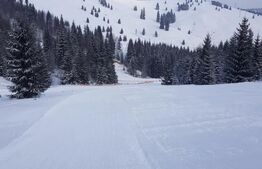 Domeniu schiabil-Partia Mestecanis, 28ha teren, zona Mestecanis