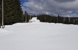 Domeniu schiabil-Partia Mestecanis, 28ha teren, zona Mestecanis