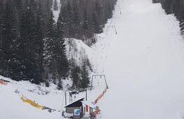 Domeniu schiabil-Partia Mestecanis, 28ha teren, zona Mestecanis