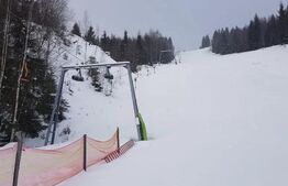 Domeniu schiabil-Partia Mestecanis, 28ha teren, zona Mestecanis