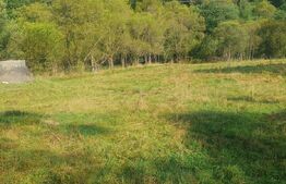 Teren intravilan, 1322 mp, zona Vatra Dornei