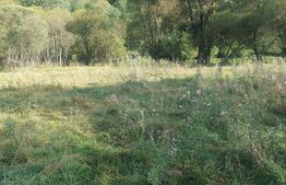 Teren intravilan, 1322 mp, zona Vatra Dornei