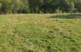 Teren intravilan, 1322 mp, zona Vatra Dornei