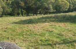 Teren intravilan, 1322 mp, zona Vatra Dornei