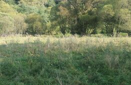 Teren intravilan, 1322 mp, zona Vatra Dornei
