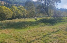 Teren intravilan, 1322 mp, zona Vatra Dornei