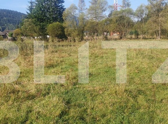Teren de vânzare Vatra Dornei - 204899TV | BLITZ Suceava | Poza5