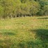 Teren de vânzare Vatra Dornei - 204899TV - Poza 1 din 12 | BLITZ Suceava | Poza1