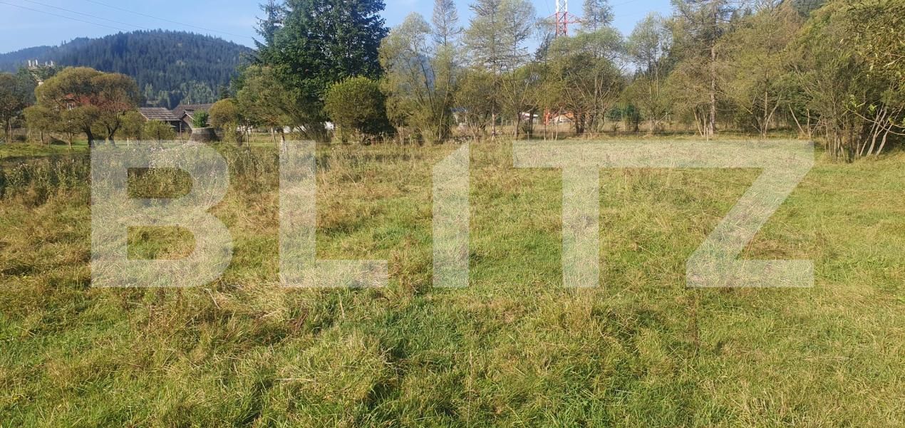 Teren de vânzare Vatra Dornei - 204899TV | BLITZ Suceava | Poza5