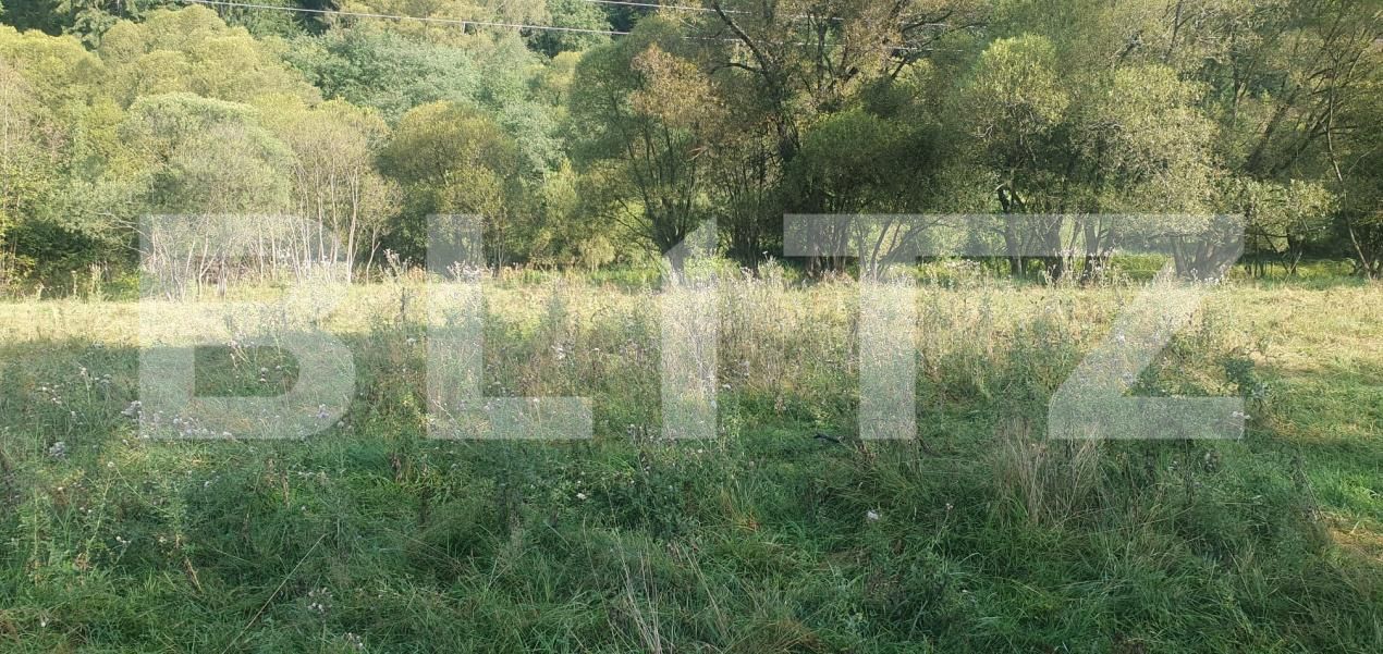 Teren de vânzare Vatra Dornei - 204899TV | BLITZ Suceava | Poza12