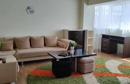 Apartament 2 camere, 50 mp, zona George Enescu