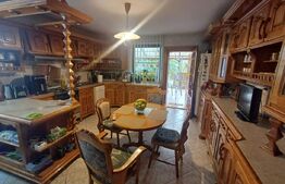 Vila de vanzare, 310 mp, teren 698 mp, zona Burdujeni