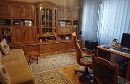 Vila de vanzare, 310 mp, teren 698 mp, zona Burdujeni