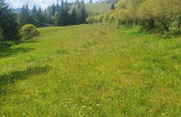 Teren intravilan, 7.362 mp, zona Vatra Dornei