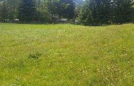 Teren intravilan, 7.362 mp, zona Vatra Dornei