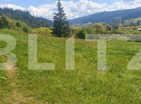 Teren de vânzare Vatra Dornei - 205007TV | BLITZ Suceava | Poza2