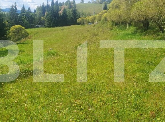 Teren de vânzare Vatra Dornei - 205007TV | BLITZ Suceava | Poza4
