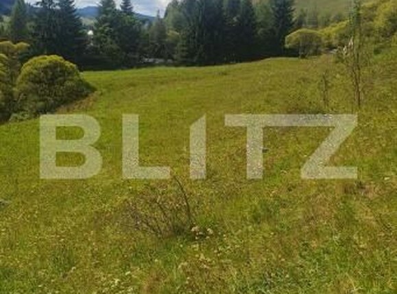 Teren de vânzare Vatra Dornei - 205007TV | BLITZ Suceava | Poza5
