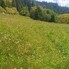 Teren de vânzare Vatra Dornei - 205007TV - Poza 1 din 6 | BLITZ Suceava | Poza6