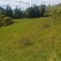 Teren de vânzare Vatra Dornei - 205007TV - Poza 1 din 6 | BLITZ Suceava | Poza4