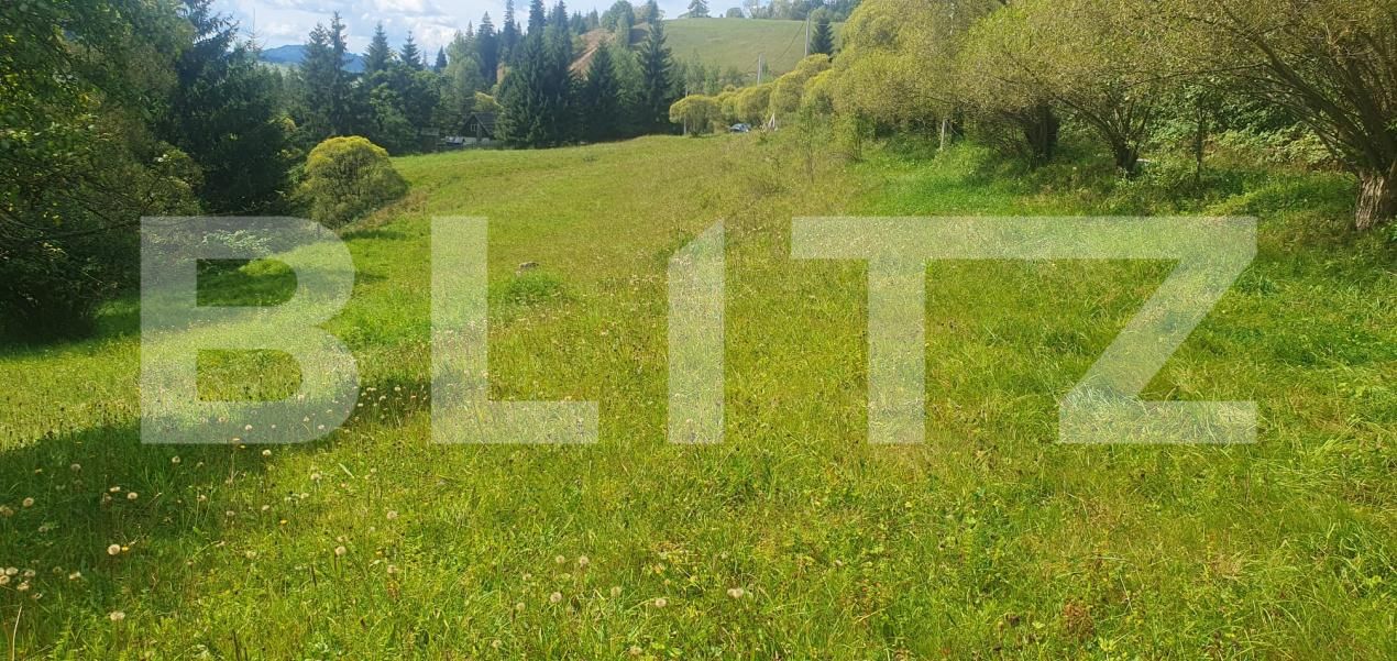 Teren de vânzare Vatra Dornei - 205007TV | BLITZ Suceava | Poza4