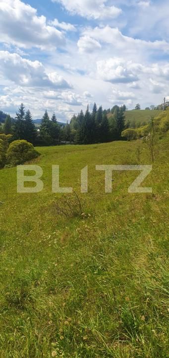 Teren de vânzare Vatra Dornei - 205007TV | BLITZ Suceava | Poza5
