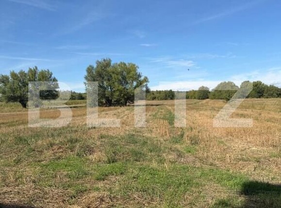 Casa de vânzare 2 camere Bilca - 205065CV | BLITZ Suceava | Poza10