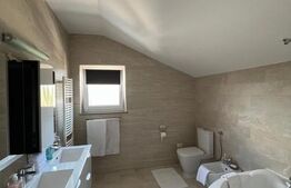 Casa de inchiriat, 120 mp, zona Radauti