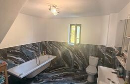 Casa etaj, 165 mp, 3600 mp, zona Darmanesti