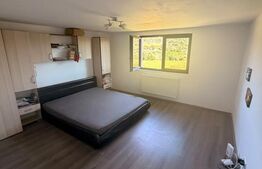 Casa etaj, 165 mp, 3600 mp, zona Darmanesti