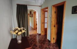 Casa individuala, 310 mp, zona Centrala 